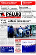 Pałuki i Ziemia Mogileńska
