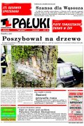Pałuki