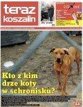 Teraz Koszalin