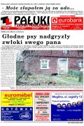 Pałuki i Ziemia Mogileńska