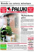 Pałuki