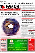 Pałuki i Ziemia Mogileńska