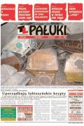 Pałuki