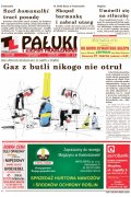 Pałuki i Ziemia Mogileńska