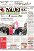 Pałuki i Ziemia Mogileńska