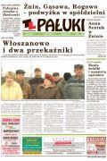 Pałuki