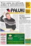 Pałuki