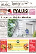 Pałuki i Ziemia Mogileńska