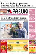 Pałuki
