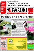 Pałuki