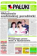 Pałuki
