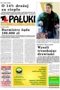 Pałuki
