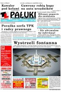 Pałuki i Ziemia Mogileńska