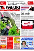 Pałuki i Ziemia Mogileńska