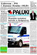 Pałuki