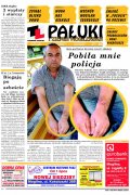 Pałuki i Ziemia Mogileńska