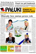 Pałuki
