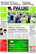 Pałuki i Ziemia Mogileńska