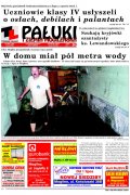 Pałuki i Ziemia Mogileńska