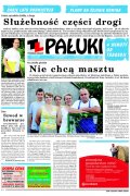 Pałuki