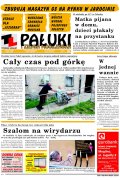 Pałuki i Ziemia Mogileńska