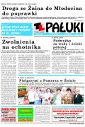 Pałuki
