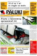 Pałuki i Ziemia Mogileńska