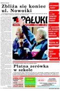 Pałuki