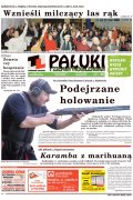 Pałuki i Ziemia Mogileńska