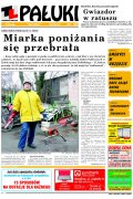 Pałuki