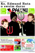 Pałuki