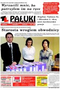 Pałuki i Ziemia Mogileńska