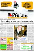 Pałuki