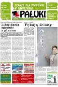 Pałuki