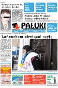 Pałuki i Ziemia Mogileńska