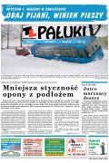 Pałuki