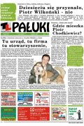 Pałuki
