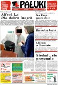 Pałuki