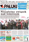 Pałuki