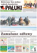 Pałuki