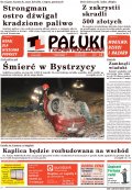Pałuki i Ziemia Mogileńska