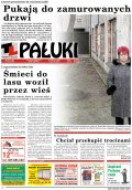 Pałuki