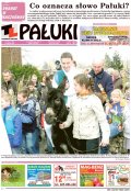 Pałuki