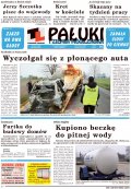 Pałuki i Ziemia Mogileńska