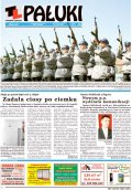 Pałuki