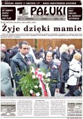 Pałuki i Ziemia Mogileńska