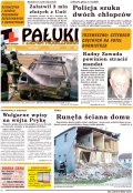 Pałuki i Ziemia Mogileńska