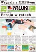 Pałuki