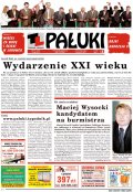 Pałuki
