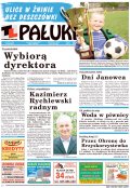 Pałuki